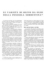 giornale/RML0024085/1934/unico/00000306