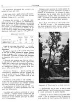 giornale/RML0024085/1934/unico/00000310