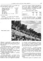 giornale/RML0024085/1934/unico/00000313