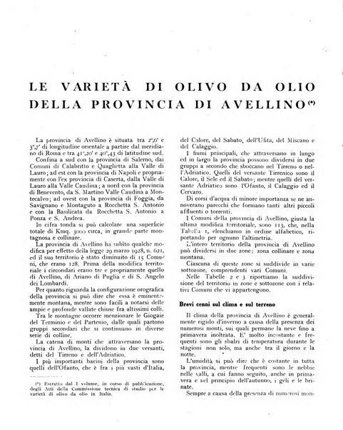 L'olivicoltore bollettino settimanale della Società nazionale degli olivicoltori