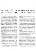 giornale/RML0024085/1934/unico/00000389