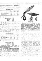 giornale/RML0024085/1934/unico/00000397