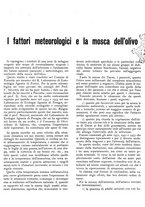 giornale/RML0024085/1934/unico/00000433