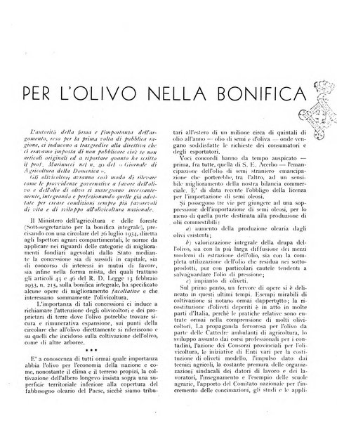 L'olivicoltore bollettino settimanale della Società nazionale degli olivicoltori