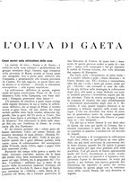 giornale/RML0024085/1934/unico/00000525