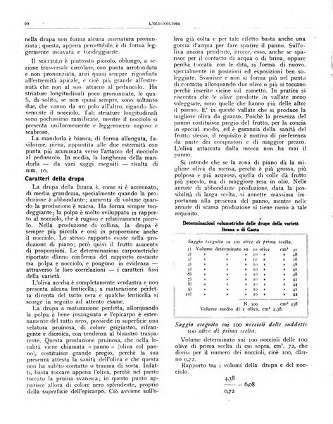 L'olivicoltore bollettino settimanale della Società nazionale degli olivicoltori