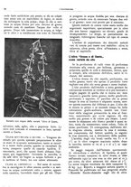 giornale/RML0024085/1934/unico/00000532