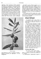 giornale/RML0024085/1934/unico/00000538