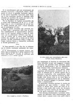 giornale/RML0024085/1934/unico/00000543