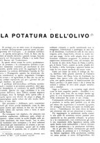 giornale/RML0024085/1934/unico/00000569