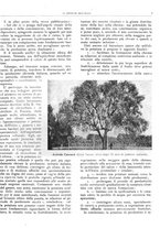 giornale/RML0024085/1934/unico/00000571