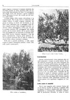 giornale/RML0024085/1934/unico/00000582