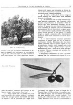 giornale/RML0024085/1934/unico/00000585