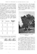 giornale/RML0024085/1935/unico/00000029