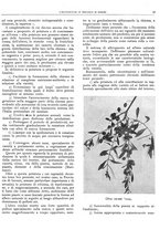 giornale/RML0024085/1935/unico/00000077