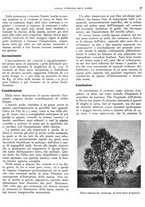 giornale/RML0024085/1935/unico/00000177