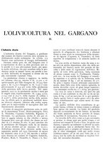 giornale/RML0024085/1935/unico/00000215