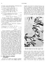 giornale/RML0024085/1935/unico/00000304