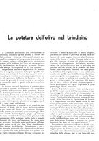 giornale/RML0024085/1935/unico/00000307