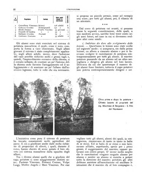 L'olivicoltore bollettino settimanale della Società nazionale degli olivicoltori