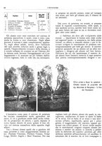 giornale/RML0024085/1935/unico/00000312