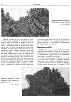 giornale/RML0024085/1935/unico/00000344