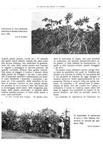 giornale/RML0024085/1935/unico/00000345