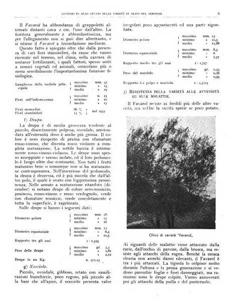 L'olivicoltore bollettino settimanale della Società nazionale degli olivicoltori