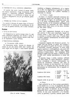 giornale/RML0024085/1935/unico/00000376