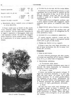 giornale/RML0024085/1935/unico/00000380