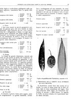 giornale/RML0024085/1935/unico/00000383