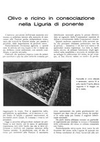 giornale/RML0024085/1935/unico/00000422