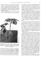 giornale/RML0024085/1935/unico/00000423