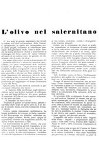 giornale/RML0024085/1937/unico/00000032