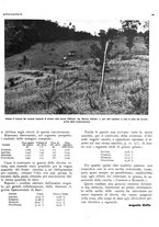 giornale/RML0024085/1937/unico/00000037