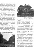 giornale/RML0024085/1937/unico/00000101