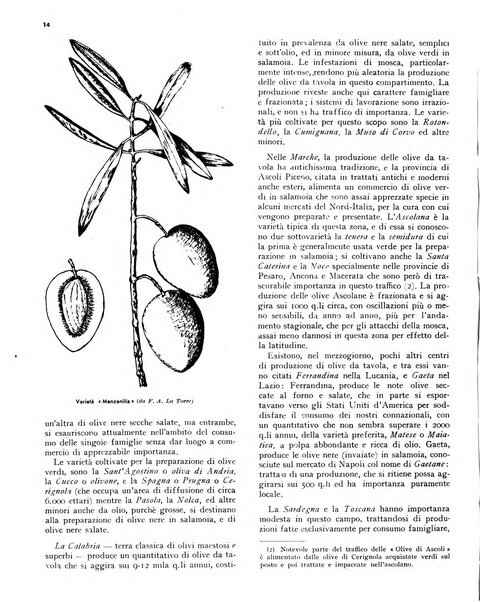 L'olivicoltore bollettino settimanale della Società nazionale degli olivicoltori