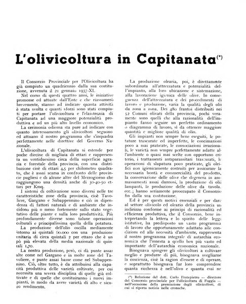 L'olivicoltore bollettino settimanale della Società nazionale degli olivicoltori