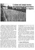 giornale/RML0024085/1937/unico/00000223