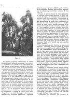 giornale/RML0024085/1937/unico/00000226