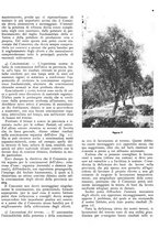 giornale/RML0024085/1937/unico/00000227