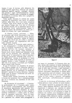 giornale/RML0024085/1937/unico/00000229