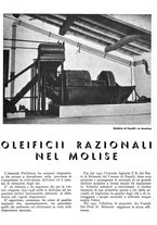giornale/RML0024085/1937/unico/00000237