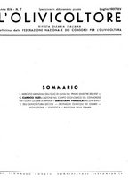 giornale/RML0024085/1937/unico/00000255