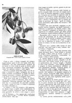 giornale/RML0024085/1937/unico/00000270