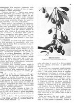 giornale/RML0024085/1937/unico/00000271
