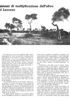 giornale/RML0024085/1937/unico/00000289