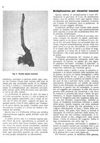 giornale/RML0024085/1937/unico/00000290
