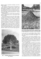 giornale/RML0024085/1937/unico/00000295
