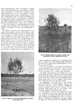 giornale/RML0024085/1937/unico/00000297